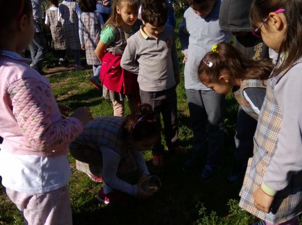 Orman Haftasında İkinci Sınıf Öğrencilerimiz Okul Bahçemizi Ağaçlandırdılar