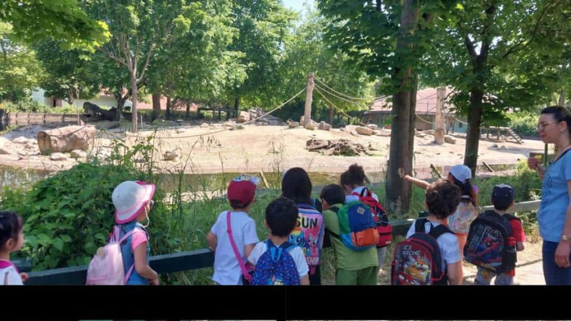 Anasınıfı Şirinler Sınıfımızın Hayvanat Bahçesi gezisi 