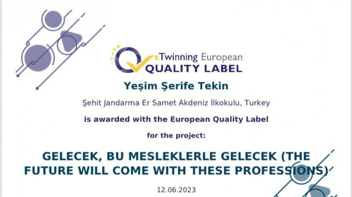 Okulumuz eTwinning Avrupa Kalite Etiketi ile Ödüllendirildi..